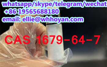 Hot Sale High Purity cas 1679-64-7 MMT podwer