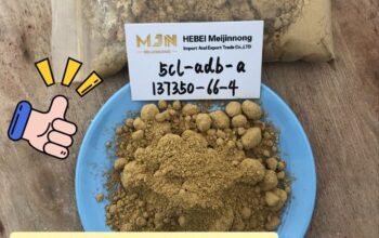 5CL-ADB-A 5CL CAS 137350-66-4 CAS 2504100-70-1