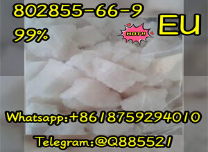 CAS 802855-66-9 The most popular