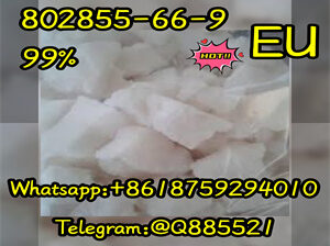 CAS 802855-66-9 The most popular