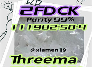 CAS 111982-50-4 2-FDCK Fluoroketamine 4Fmph 4-mmc