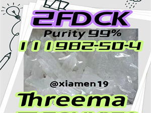 CAS 111982-50-4 2-FDCK Fluoroketamine 4Fmph 4-mmc