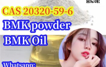 free sample BMK Powder/Oil CAS20320-59-6