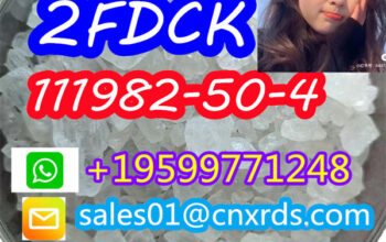sale cas:111982-50-4 2FDCK whatsapp:+19599771248