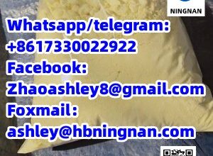 cas 40064-34-44 Piperidone High quality Organic Ch