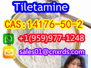 in stock cas:14176-50-2 Tiletamine