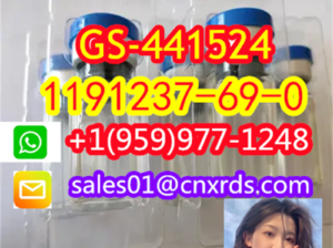 instockcas：1191237-69-0 GS-441524