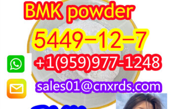 in stock cas：5449-12-7 high purity BMK