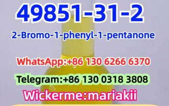 CAS.49851-31-2,2-Bromo-1-phenyl-1-pentanone