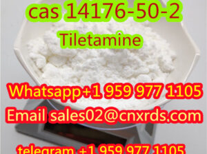 14176-50-2 Tiletamine