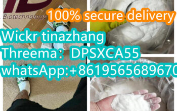 Chemicals Manufactures,Protonitazene 119276-01-6,T