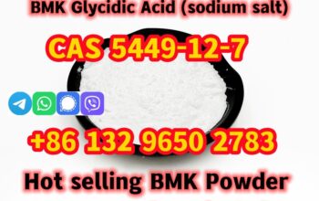 BMK Powder CAS 5449-12-7 Germany Spot Stock