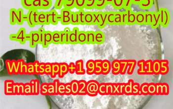 79099-07-3 N-(tert-Butoxycarbonyl)-4-piperidon