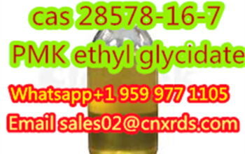28578-16-7 PMK ethyl glycidate