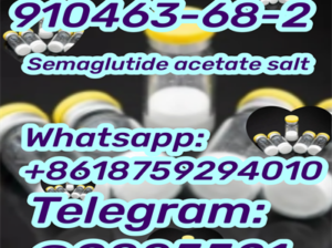 Buy API Semaglutide 99% powder 910463-68-2