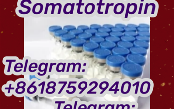 5-High Quality HGH Somatotropin/Human 12629-01