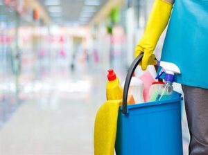 الشركة الوطنية للعمالة المنزلية