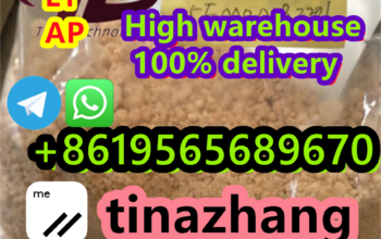 99% Purity CAS 71368-80-4 Bromazolam