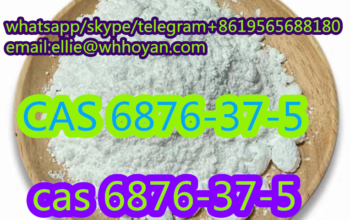 Europe Warehouse Delivery CAS 6876-37-5 Methylammo