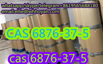 High Quality CAS 6876-37-5 Methylammonium Bromide