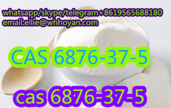 99.9% Purity and Low Price CAS 6876-37-5 Methylamm