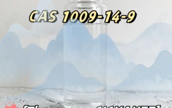 28578-16-7 PMK