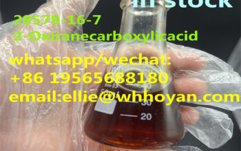 CAS:28578-16-7 99％ Pmk Powder Ethyl Glycidate Pmk