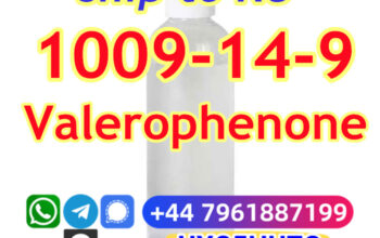 CAS 1009-14-9 Valerophenone high quality