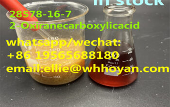 NEW PMK Powder CAS 28578-16-7 PMK Ethyl Glycidate