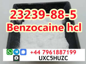 Benzocaine hydrochloride cas 23239-88-5