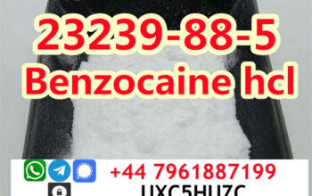 Benzocaine hydrochloride cas 23239-88-5