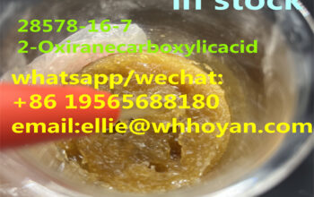 supply high quality CAS 28578-16-7 ethyl glycidate