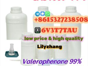 Valerophenone CAS 1009-14-9 with 99% Purity to Rus