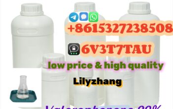 Valerophenone CAS 1009-14-9 with 99% Purity to Rus
