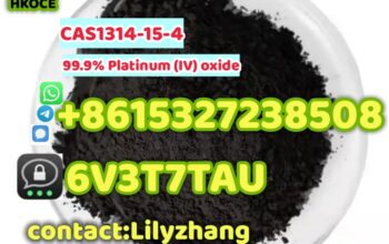 Catalyst CAS 1314-15-4 Pto2 Platinum Dioxide