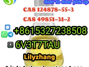 124878-55-3 oversaes warehouse fast delivery
