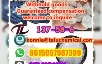 137-58-6 Lidocaine