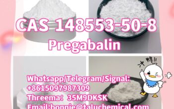 148553-50-8 Pregabalin