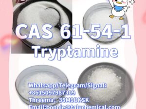 61-54-1 Tryptamine