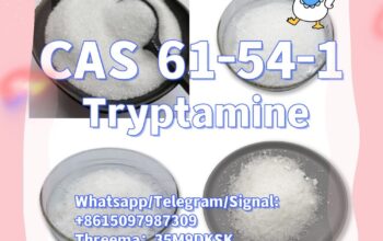 61-54-1 Tryptamine