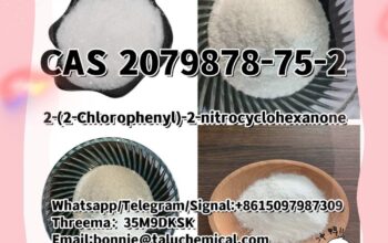2079878-75-2 2-(2-Chlorophenyl)-2-nitrocyclohexano