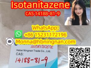 excellent quality Etizolam CAS 40054-69-1