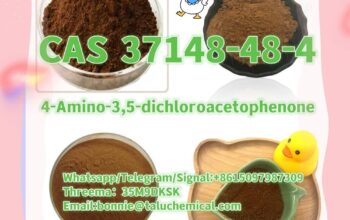 37148-48-4 4-Amino-3,5-dichloroacetophenone