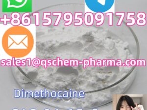 99%Dimethocaine