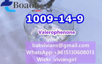 Valerophenone 1009-14-9 With Best Price