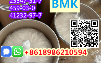 CAS 5449-12-7/25547-51-7 BMK Powder