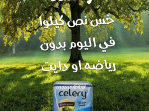 حبوب سيلرى اقوى منتج المانى للتخسيس