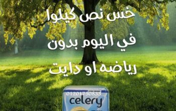 حبوب سيلرى اقوى منتج المانى للتخسيس