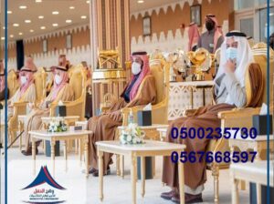 كراسي فاخرة, طاولات طعام, طاولات مستطيلة, جلسات