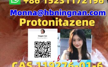 excellent quality Etizolam CAS 40054-69-1